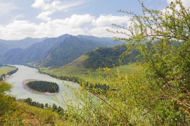 Montagne di Altai Fiume Katun