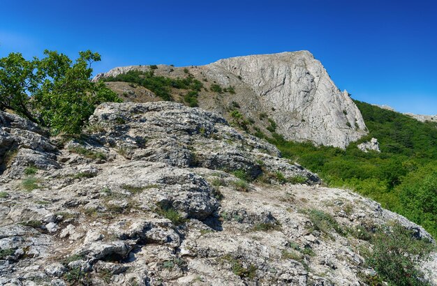 Montagne di Crimea
