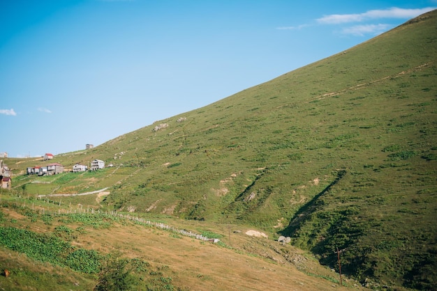 montagne di erba verde e cielo blu paesaggio. Prati e cime. Vista panoramica panoramica della Georgia