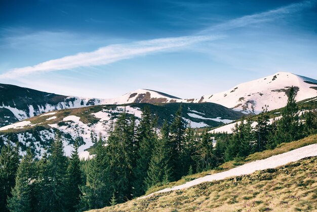 Montagne di neve