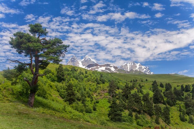 Montagne di Svaneti in Georgia. Paesaggio del Caucaso