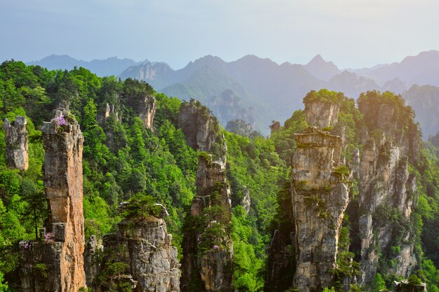 Montagne di Zhangjiajie, Cina