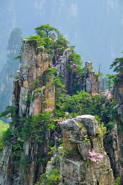 Montagne di Zhangjiajie, Cina