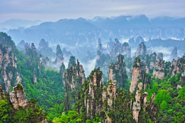 Montagne di Zhangjiajie, Cina