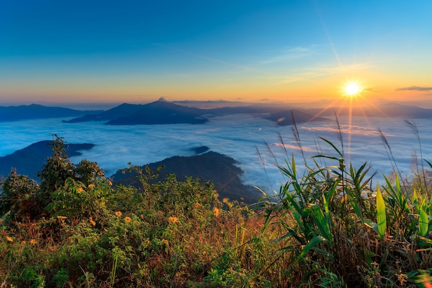 Montagne Doi Pha tang e nebbia mattutina a Chiang Rai Thailandia