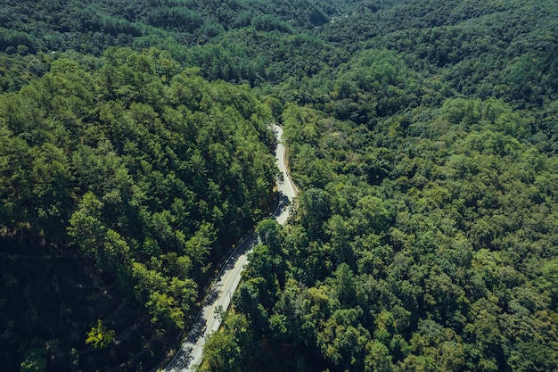 Montagne e alberi durante il giorno estivo