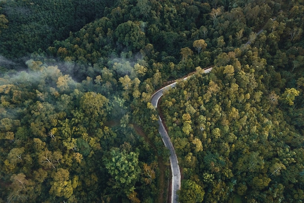 Montagne e alberi in un villaggio rurale, angolo alto al mattino