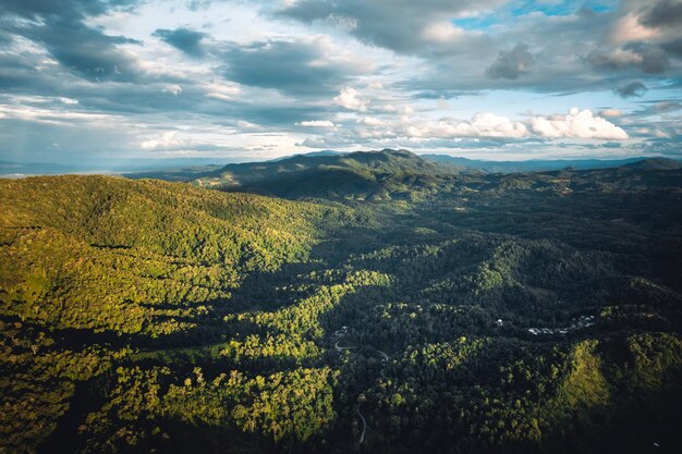 Montagne e alberi verdi la sera