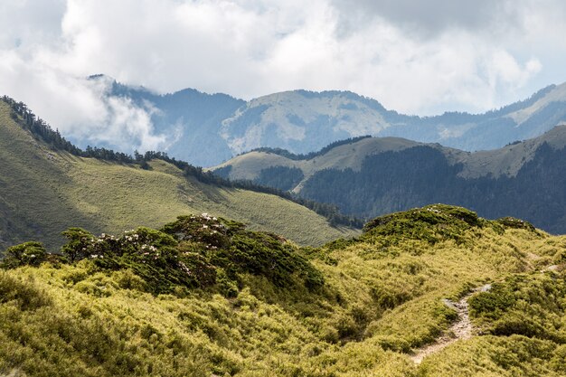 Montagne e bella natura in Hehuanshan Taiwan