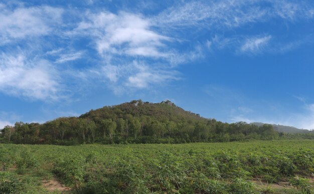 Montagne e cielo fresco durante il giorno, zone rurali della Thailandia.