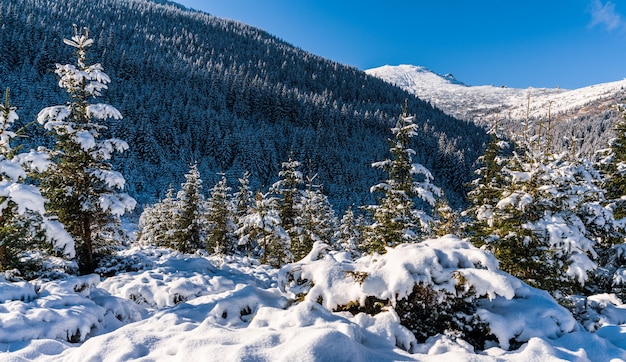 Montagne e colline dei Carpazi innevate con enormi cumuli di neve bianca come la neve