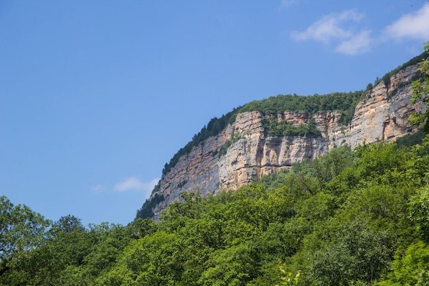 Montagne e foresta sotto il cielo blu chiaro