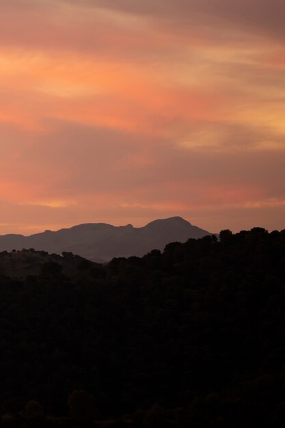 Montagne e foreste con bel sole