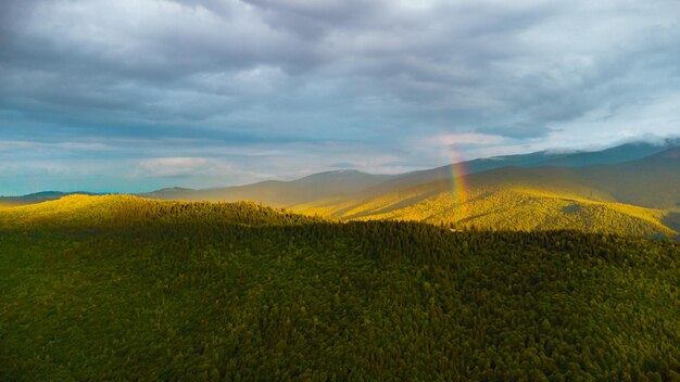 montagne e foreste fotografate da un drone Transilvania, Romania