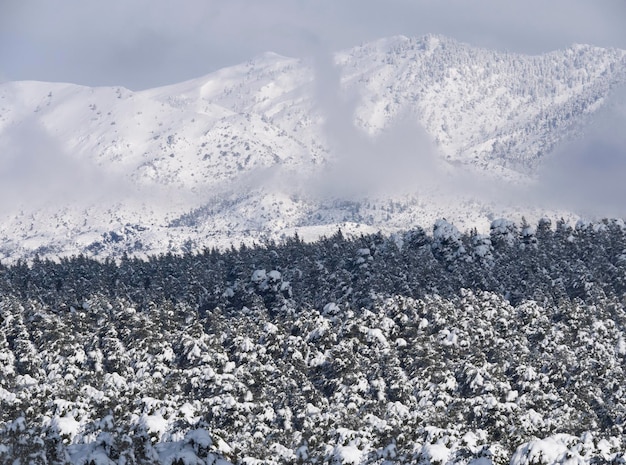 Montagne e foreste innevate contro il cielo blu in Grecia