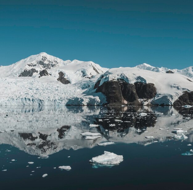 Montagne e iceberg della costa dello stretto di Lemaire Antartide
