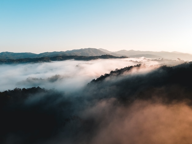 Montagne e nebbia al mattino, La foresta al mattino dall'alto