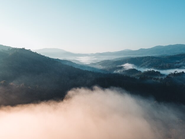 Montagne e nebbia al mattino, La foresta al mattino dall'alto