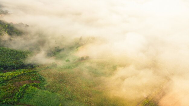 Montagne e nebbia in Tailandia