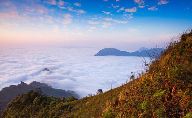 montagne e nebbie in asiaVista panoramica Alba e nebbia su Mountain View a nord della thailandia