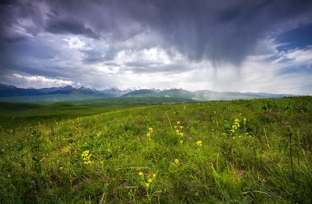 Montagne estive in Kazakistan