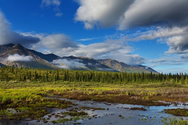 Montagne in Alaska, Stati Uniti