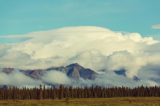 Montagne in Alaska