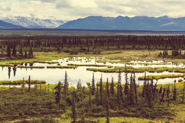 Montagne in Alaska