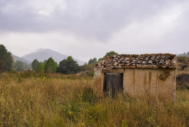 Montagne in autunno.