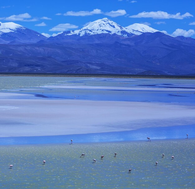 Montagne in Bolivia