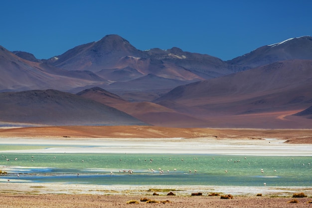 Montagne in Bolivia