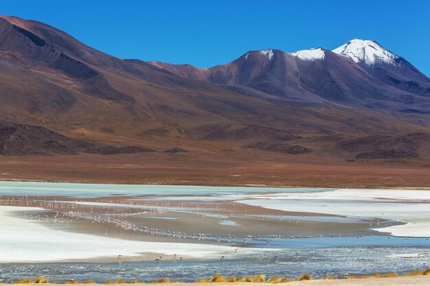 Montagne in Bolivia