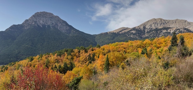 Montagne in decorazione autunnale