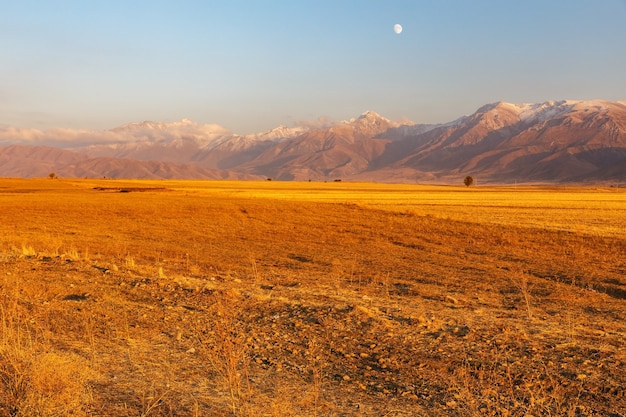 Montagne in Kazakistan, Talas Alatau. Montagne e campo agricolo al tramonto la sera.