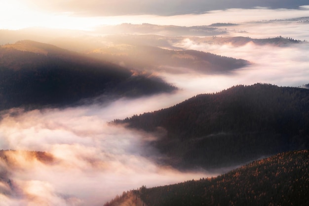 Montagne in nuvole basse all'alba del mattino Bellissimo paesaggio con cime di montagna nella nebbia