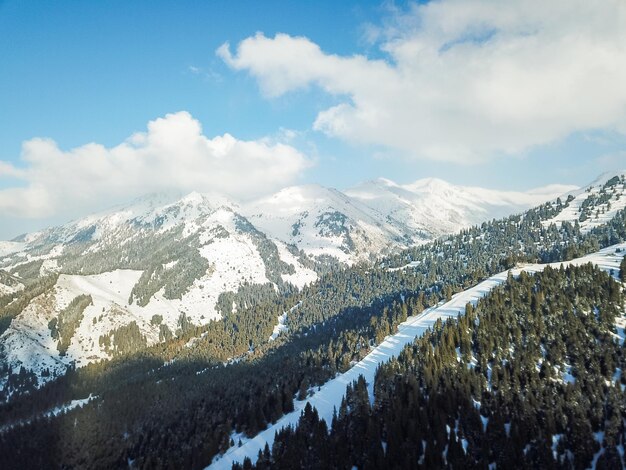 Montagne innevate con abeti