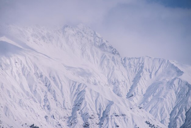 Montagne Innevate E Nebbiose