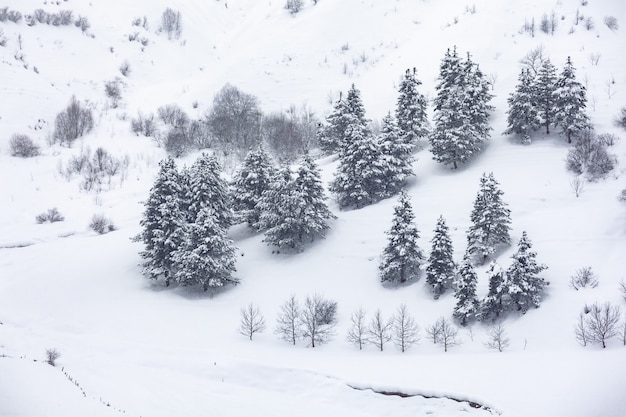 Montagne innevate in Georgia