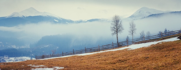 Montagne innevate nella nebbia.