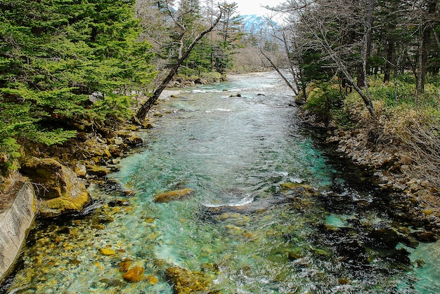 Montagne innevate sullo sfondo e lago limpido nella scena invernale a Kamikochi, Giappone