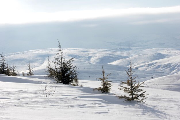 montagne innevate