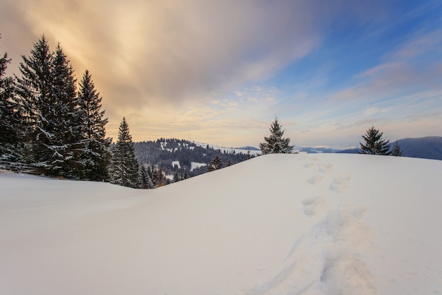 Montagne invernali dei Carpazi