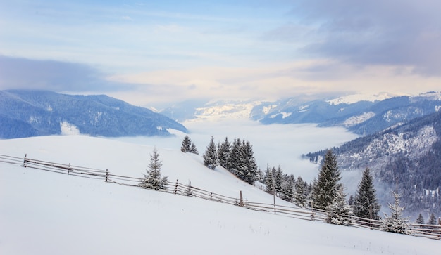 Montagne invernali dei Carpazi