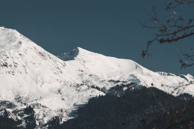 Montagne invernali di Krasnaya Polyana