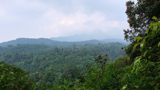 Montagne naturali fresche da osservare durante il giorno