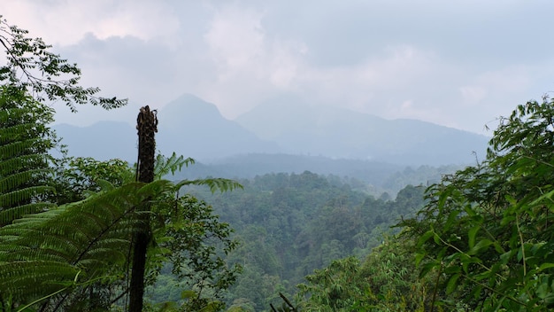 Montagne naturali fresche da osservare durante il giorno