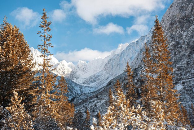 Montagne negli inverni. Natura innevata. Rilassati per le persone. Sport.