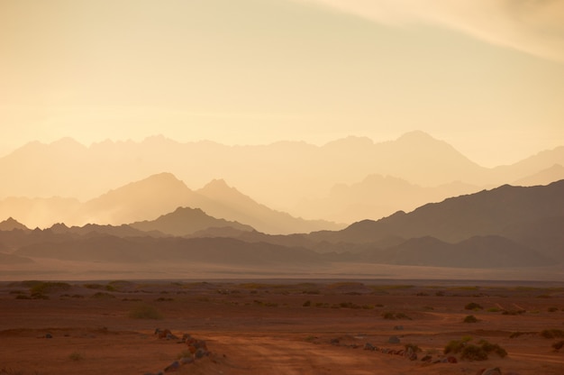 Montagne nel deserto del Sinai al tramonto