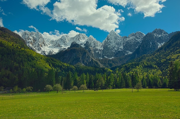 Montagne nel parco nazionale del Triglav