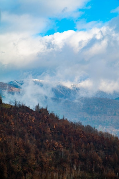 Montagne nella nebbia in una foto verticale di una giornata invernale